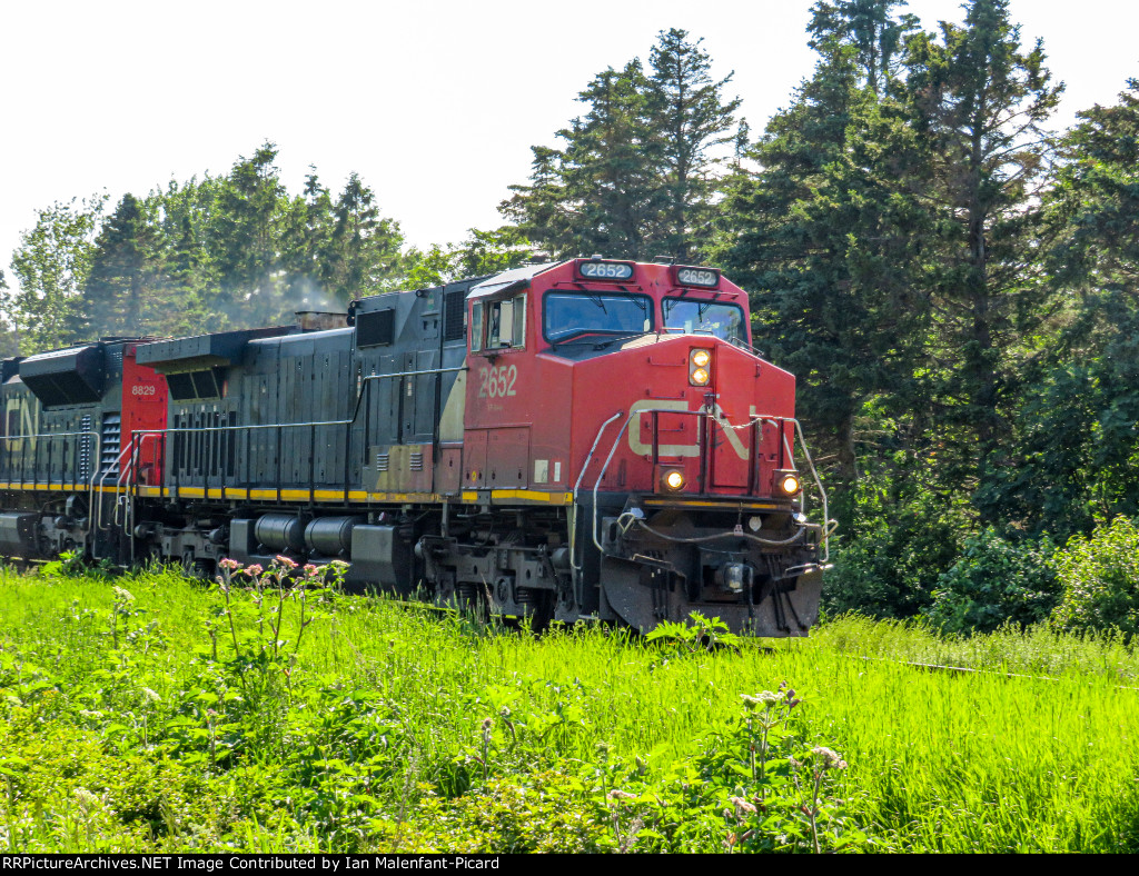 CN 2652